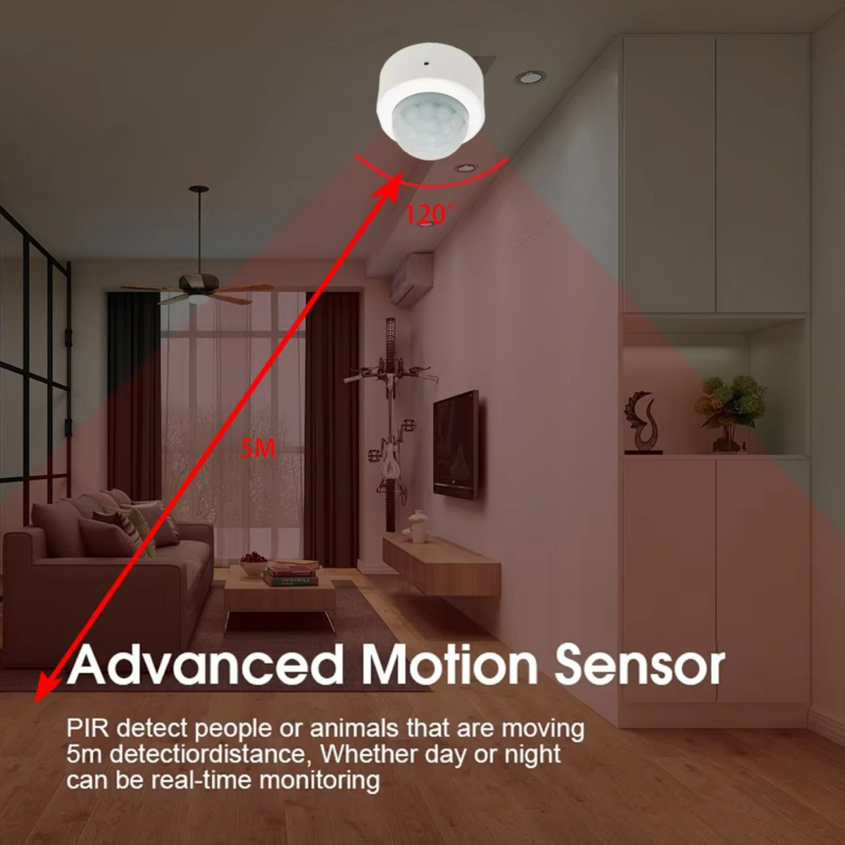 Zigbee PIR Motion Sensor Human - огляд і ціна Zigbee Motion Sensor