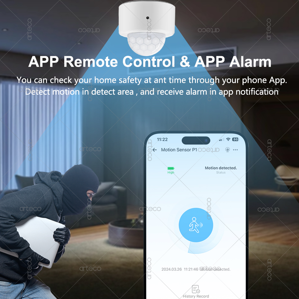 Ewelink Zigbee PIR Motion Sens - огляд і ціна Zigbee Motion Sensor