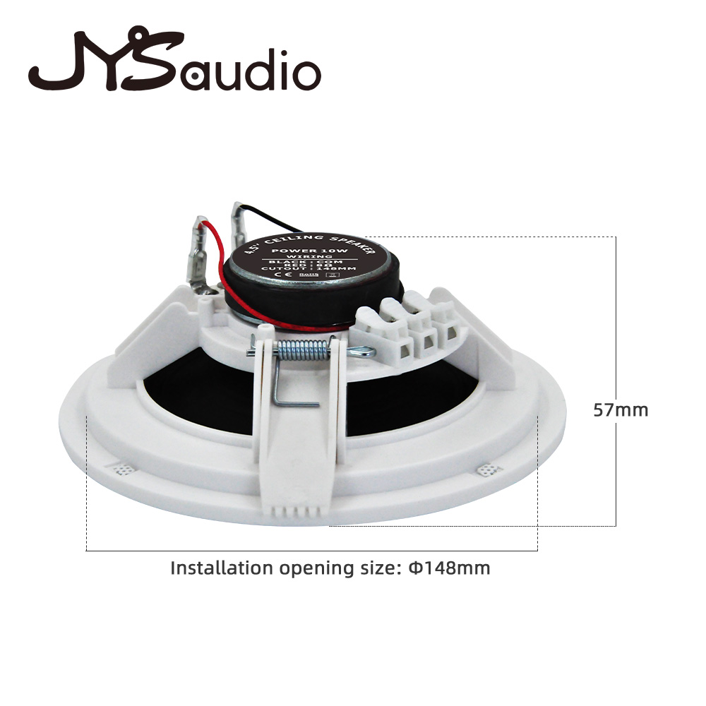 Framless Ceiling Speaker 10W 8 - огляд і ціна Smart Home Speaker